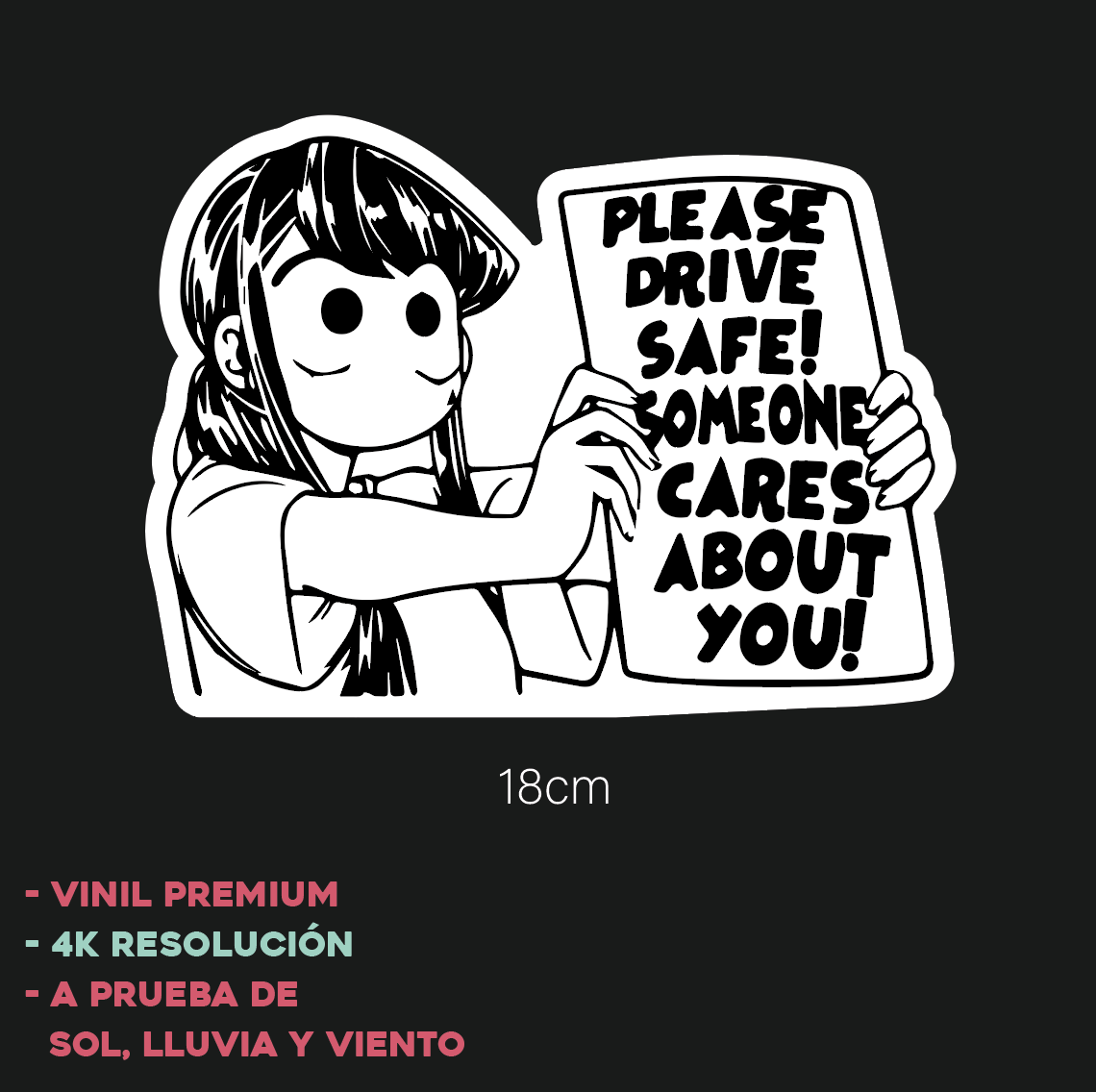 Drive Safe - Sticker